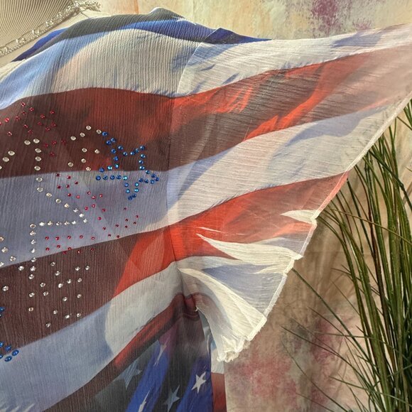 📌CLOSET FULL 4TH OF JULY Stars & Stripe Chiffon Dress with Underdress - Picture 5 of 14